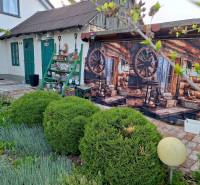 MH283 – Na predaj krásny rodinný dom vo vidieckom štýle - Rodinný dom v Okoličnej na Ostrove s dekoratívnou drevenou stenou a upravenou záhradou.