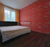 Prenájom, dvojizbový byt Dunajská Streda - Spálňa v 2-izbovom byte s červenou kvetinovou tapetou a podlahou s dreveným dekorom.