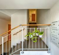 4i byt s terasou a parkovaním v tichej časti Rovinky | 89m2 - Schodiskový priestor s rastlinami, poštovými schránkami a svetlými stenami v 4-izbovom byte.