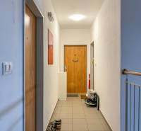 4i byt s terasou a parkovaním v tichej časti Rovinky | 89m2 - Chodba so svetlami a botníkmi v 4-izbovom byte.