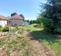 PREDAJ - ÚTULNÝ DOMČEK NA ROZĽAHLOM POZEMKU - NEVIDZANY - Záhrada pri rodinnom dome v Nevidzanoch s rastlinami a stromami, trávnatý a zemný povrch.