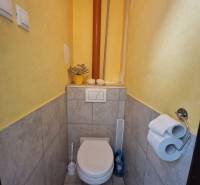 NAJLACNEJŠÍ 3- izbový byt v Topoľčanoch, neďaleko ZKW - Toaleta v 3-izbovom byte s dlažbou a žltými stenami, decentná dekorácia na nádržke.