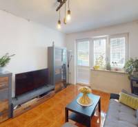 3 izbový byt  s dvoma pivnicami Topoľčany - Obývačka v 3-izbovom byte s podlahou s dreveným dekorom a izbovými rastlinami.