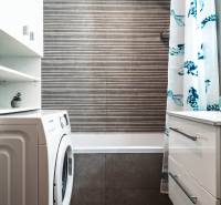 Útulný 2-izbový byt na prenájom - Kúpeľňa v 2-izbovom byte so sprchovým závesom, práčkou a úložným priestorom.