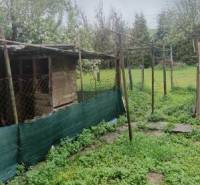 Na predaj rodinný dom Kosihovce - Záhrada s oploteným priestorom pri rodinnom dome v Kosihovciach na ulici Kosihovce.