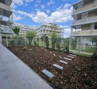 Na prenájom 2iz. byt s predzáhradkou  - Exteriér s modernými budovami a záhradnou úpravou v Bratislave, Ružinove na ulici Na výslní.