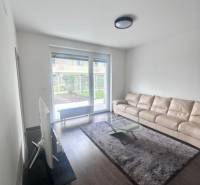 Na prenájom 2iz. byt s predzáhradkou  - Obývacia izba v 2-izbovom byte s veľkou pohovkou a podlahou s dreveným dekorom.