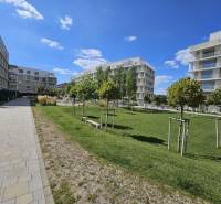 Na prenájom 2iz. byt s predzáhradkou  - Chodník, zelený park a moderné bytové domy v Bratislave - Ružinove, Na výslní.
