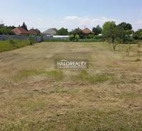 Predaj, záhradný pozemok   1652 m2 Marcelová - EXKLU... - Upravený trávnik v záhradách Marcelovej s pohľadom na okolité domy.