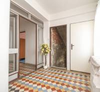 Dom s veľkým pozemkom 3099m2, Melčice-Lieskové - Chodba rodinného domu s pestrofarebnou dlažbou, kvetináčom a nádychom vintage architektúry.