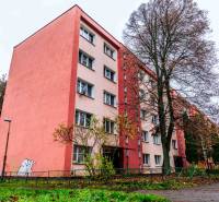 Na prenájom moderný 2-izbový byt  - Exteriér 2-izbového bytu na Ľudovej ulici, Košice - mestská časť Západ, s okolitou zeleňou.