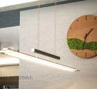 ALL INCLUSIVE I NOVOSTAVBA 4- IZBOVÝ RD SMART HOME - MOSTOVÁ (GA) - Hodiny na stene s dreveným dekorom a zeleným machom v interiéri rodinného domu.