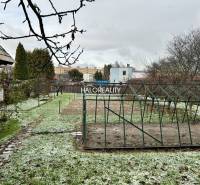 Predaj, rodinný dom Prievidza - EXKLUZÍVNE HALO REALITY - Záhrada pri rodinnom dome v Prievidzi s trávnikom a konštrukciou na pestovanie.