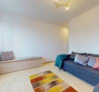 3-izb.byt s balkónom | Štrkovec-Ružinov - Obývacia izba so sivou pohovkou, podlahou s dreveným dekorom a farebným koberčekom v 3-izbovom byte.