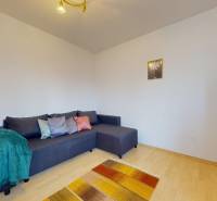 3-izb.byt s balkónom | Štrkovec-Ružinov - Izba v 3-izbovom byte s pohovkou, podlahou s dreveným dekorom a policami.