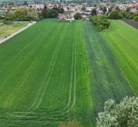 Veľký priestranný pozemok o rozlohe 7445 m2, Jelka  - Pole s obilím pri ulici Slaná dolina v meste Jelka, v pozadí Rodinné domy.