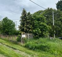 Veľký priestranný pozemok o rozlohe 7445 m2 s RD, Jelka  - Rodinný dom na Slanej doline v Jelke s bohatou zeleňou a prístupovou cestou.