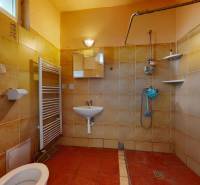 Veľký priestranný pozemok o rozlohe 7445 m2 s RD, Jelka  - Kúpeľňa s WC, sprchou a umývadlom v rodinnom dome, dlažba s teplým tónom.