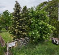 Veľký priestranný pozemok o rozlohe 7445 m2 s RD, Jelka  - Rodinný dom na Slanej doline v Jelke, s udržiavanou záhradou a vidieckym trávnikom.