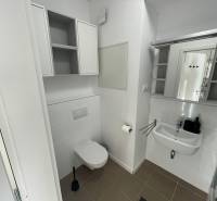 MODERNÝ, KOMPLETNE ZARIADENÝ 1-IZBOVÝ BYT V PROJEKTE SLNEČNICE - Kúpeľňa s umývadlom a toaletou, vybavená úložnými skrinkami a zrkadlom.