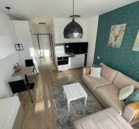 MODERNÝ, KOMPLETNE ZARIADENÝ 1-IZBOVÝ BYT V PROJEKTE SLNEČNICE - Interiér 1-izbového bytu s kuchyňou, pohodlnou sedačkou a podlahou s dreveným dekorom.