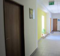 PRENÁJOM KANCELÁRSKYCH priestorov , NITRA - Štúrova ulica - Chodba s dverami a rastlinou, na ulici Štúrova, smeruje ku kanceláriám.