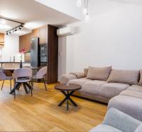 NOVOSTAVBA | 2i Mezonet + 1i štúdio s terasou a parkingom v CENTRE PO - Obývacia izba v 1-izbovom byte s kuchyňou, sedačkou a podlahou s dreveným dekorom.