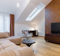 NOVOSTAVBA | 2i Mezonet + 1i štúdio s terasou a parkingom v CENTRE PO - Svetlá obývacia izba v 1-izbovom byte s podlahou s dreveným dekorom a strešným oknom.