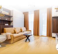 NOVOSTAVBA | 2i Mezonet + 1i štúdio s terasou a parkingom v CENTRE PO - Obývacia miestnosť v 1-izbovom byte s podlahou s dreveným dekorom a pohodlným gaučom.