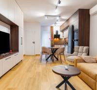 NOVOSTAVBA | 2i Mezonet + 1i štúdio s terasou a parkingom v CENTRE PO - Obývacia izba s podlahou s dreveným dekorom, pohodlnou sedačkou a kuchynským stolom.