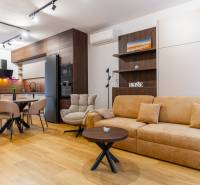 NOVOSTAVBA | 2i Mezonet + 1i štúdio s terasou a parkingom v CENTRE PO - Interiér 1-izbového bytu so svetlou podlahou s dreveným dekorom a útulným sedením.