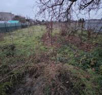 AKCIA - 2 Rodinné domy za cenu jedného obec Veľká Mača  - Záhrada v rodinnom dome na Hlavnej ulici vo Veľkej Mači, s oplotením a prírodou.