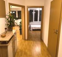 Na dlhodobý prenájom 2-izbový byt - kompletne zariadený, klimatizovaný - Chodba v 2-izbovom byte s podlahou s dreveným dekorom a rastlinami.