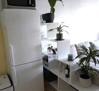 Na dlhodobý prenájom 2-izbový byt - kompletne zariadený, klimatizovaný - Kuchynský kút v 2-izbovom byte s bielou chladničkou a rastlinami na poličkách.