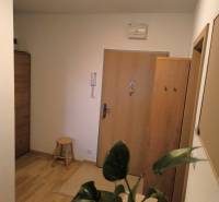 Na dlhodobý prenájom 2-izbový byt - kompletne zariadený, klimatizovaný - Chodba v 2-izbovom byte s podlahou s dreveným dekorom a zelenou rastlinou.