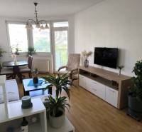 Na dlhodobý prenájom 2-izbový byt - kompletne zariadený, klimatizovaný - Obývacia izba v 2-izbovom byte s podlahou s dreveným dekorom a množstvom rastlín.