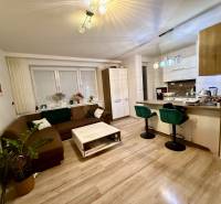 Dvojizbový byt, Považská Bystrica - Stred - Obývacia izba a kuchyňa v 2-izbovom byte s podlahou s dreveným dekorom.