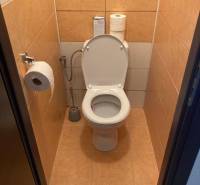 NA PRENÁJOM ÚTULNÝ 1-IZBOVÝ BYT, ČIASTOČNÁ REK., KAROLA ADLERA, BA - Toaleta v 1-izbovom byte s béžovými dlaždicami a hygienickými potrebami.