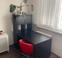 NA PRENÁJOM ÚTULNÝ 1-IZBOVÝ BYT, ČIASTOČNÁ REK., KAROLA ADLERA, BA - Pracovný kút v 1-izbovom byte so stolom, červenou stoličkou a vysokou rastlinou.