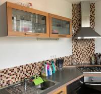 NA PRENÁJOM ÚTULNÝ 1-IZBOVÝ BYT, ČIASTOČNÁ REK., KAROLA ADLERA, BA - Kuchyňa v 1-izbovom byte s mozaikovým obkladom a spotrebičmi z nerezovej ocele.