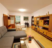 Predaj 4 izbový byt v Starej Sásovej - Obývacia izba v 4-izbovom byte s pohovkou, jedálenským stolom a podlahou s dreveným dekorom.