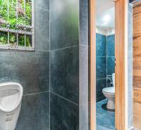 Predaj Exkluzívna ponuka elegantného penziónu s hostincom - Moderná toaleta v hoteli s tmavými kachličkami a zeleným dekoračným prvkom.