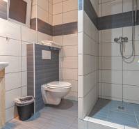 Predaj Exkluzívna ponuka elegantného penziónu s hostincom - Kúpeľňa v Hoteloch a penziónoch s toaletou, umývadlom a sprchovým kútom.