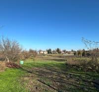 NA PREDAJ 5 IZBOVÝ POSCHODOVÝ DOM V CENTRE OBCE, IŽA, OKRES KOMÁRNO - Rodinný dom na Podzáhradnej ulici v Iži s veľkou záhradou a stromami.