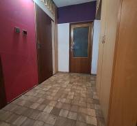 REZERVOVANÉ 2-izbový byt s nádherným výhľadom v pôvodnom stave   - Chodba v 2-izbovom byte s podlahou s dreveným dekorom a úložným priestorom.