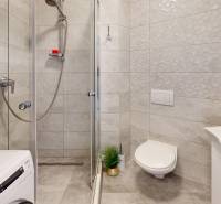 ZREKONŠTRUOVANÝ 3-IZBOVÝ BYT (74 m2) S BALKÓNOM, PIVNICOU, 2 x WC - Kúpeľňa v 3-izbovom byte s toaletou, sprchou, práčkou a ozdobnými rastlinami.