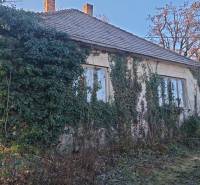 Priestranný pozemok so starším domom – Suchá nad Parnou - Chata v Suchej nad Parnou zarastená brečtanom s okolitou vegetáciou.