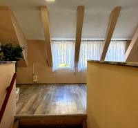 Na predaj unikátna dvojpodlažná budova na podnikanie aj bývanie - Interiér budovy s podlahou s dreveným dekorom, veľkým oknom a rastlinou.