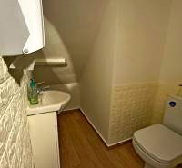 Na predaj unikátna dvojpodlažná budova na podnikanie aj bývanie - Kúpeľňa s umývadlom, toaletou, podlahou s dreveným dekorom a textúrovanými stenami.