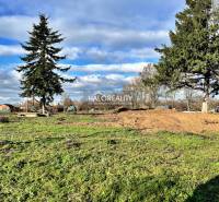 Predaj, pozemok pre rodinný dom   2184 m2 Ondrejovce... - Zeleň a stromy na pozemkoch - bývanie v Ondrejovciach pod modrou oblohou.